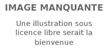 MOHAMED SAID AHMED suppléant SAID ALI CHARIF